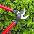 High-Reach Fruit Tree Branch Pruning Shears