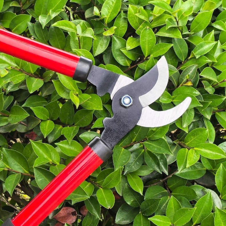 High-Reach Fruit Tree Branch Pruning Shears