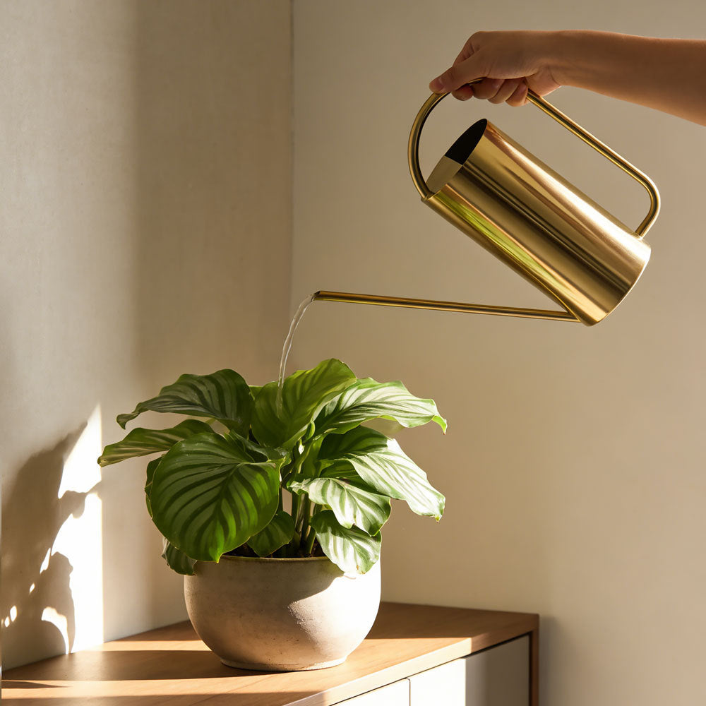 Long-Spout Metal Watering Can with Water Sprayer, 1.5L