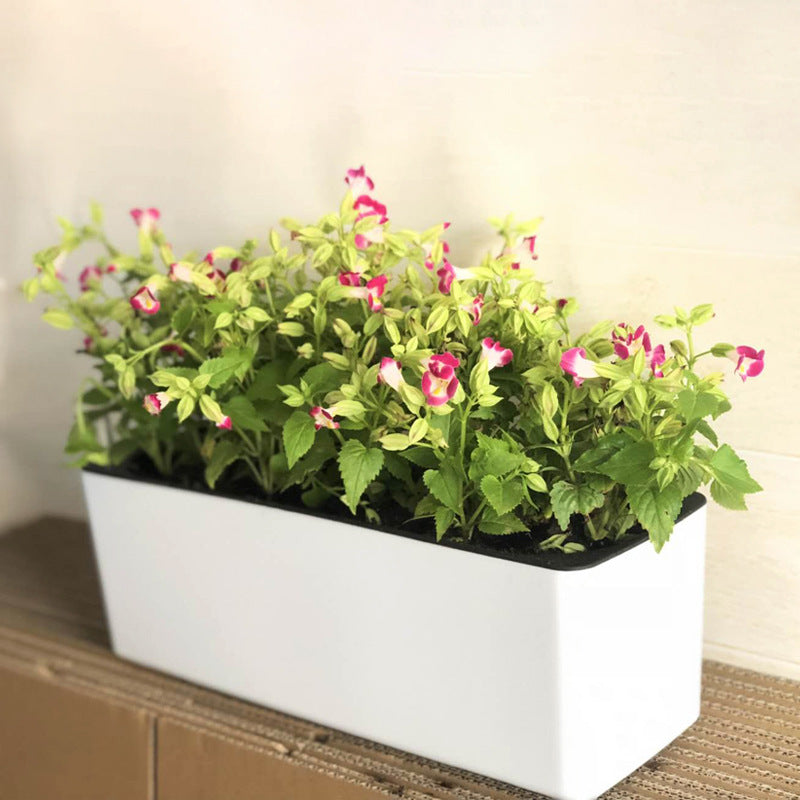 Rectangular Plastic Self-Watering Lazy Planter for Balcony Vegetables