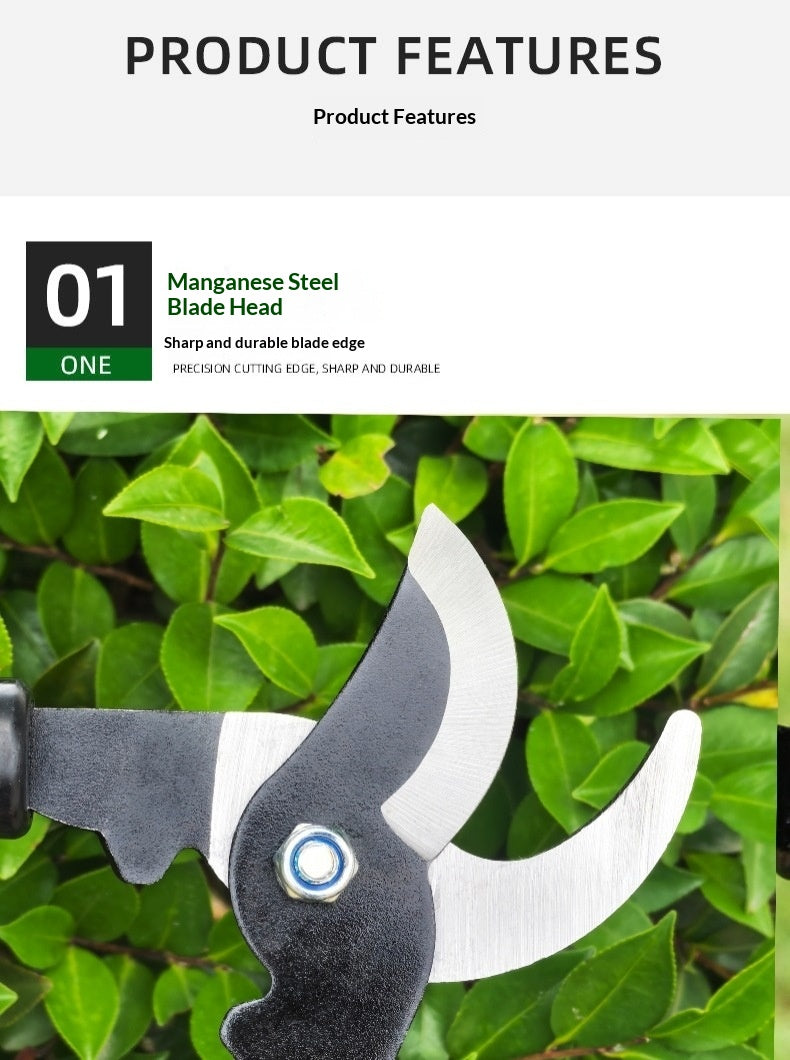 High-Reach Fruit Tree Branch Pruning Shears